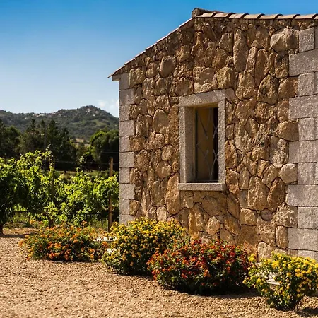 Apartment In Vigna Arzachena