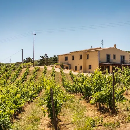 In Vigna