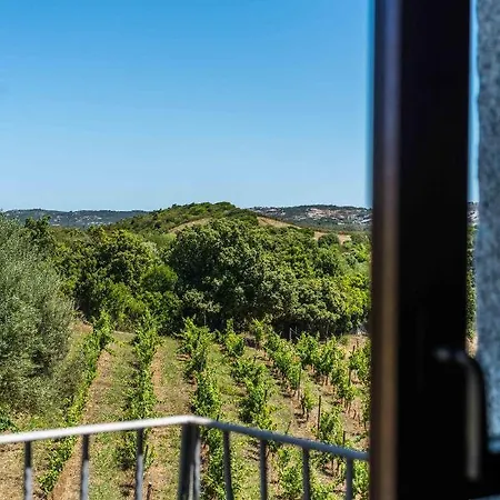 Apartment In Vigna Arzachena