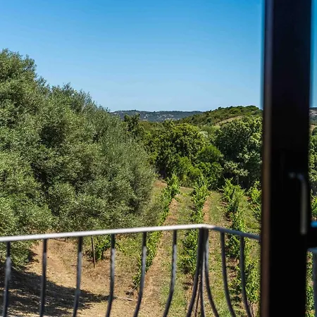 In Vigna * Arzachena