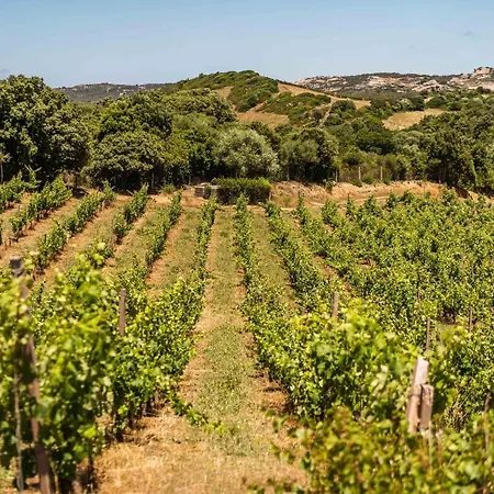 Apartment In Vigna Arzachena