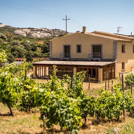 In Vigna