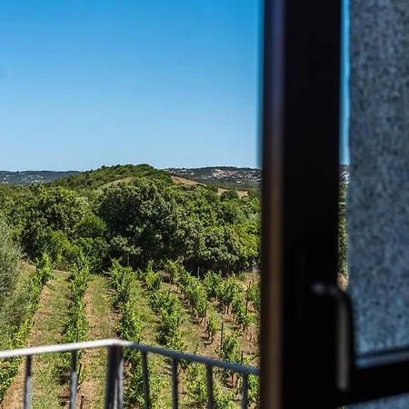 Appartamento In Vigna *